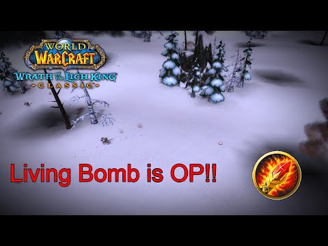 Fire Mage Burns Everything in Wrath of the Lich King Beta Heroics!!