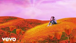 The Light Music Video