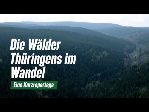 Die Wälder Thüringens im Wandel - Eine Kurzreportage