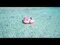 Dizaro Sunny Day No Copyright Music