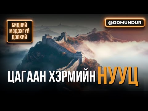 Цагаан хэрмийн нууц - БИДНИЙ МЭДЭХГҮЙ ДЭЛХИЙ