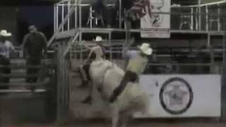 HCR Ace Cowboy August 2011.mov