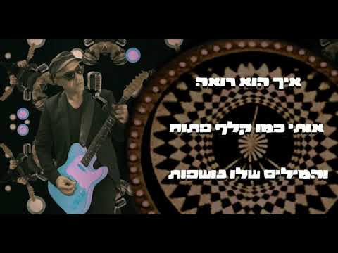 ארז לב ארי והחליפות - האורח