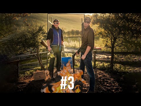 Willoughby Hedge - The Clay Tour 2020