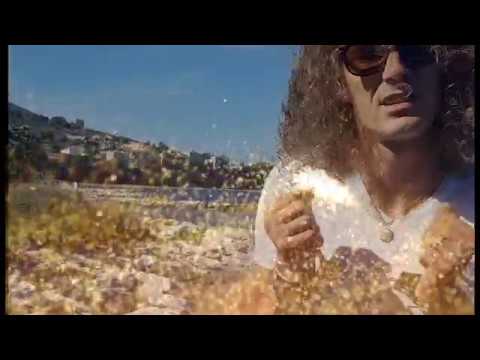 BIGGY - Free Like a Bird (2017)