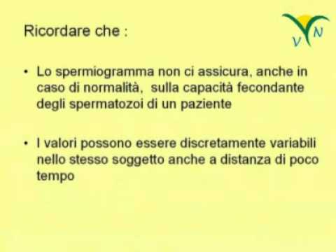 Ciprofloxacina per il trattamento della prostatite Iniezioni prostatilen o supposte che un forum meglio