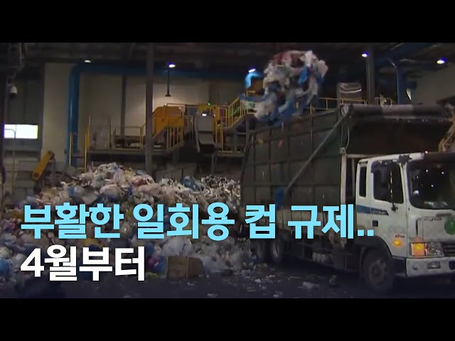 2년 만에 부활한 일회용 컵 규제..4월부터