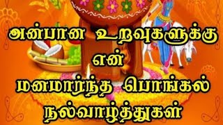Vlog Pongal Celebration in Taiwan | Taiwan Pongal | இனிய பொங்கல் நல்வாழ்த்துக்கள் தைவான்