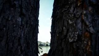 The Power of Combining Nikon D7000, Tokina Lens, After Effects & A Pleasant Afte