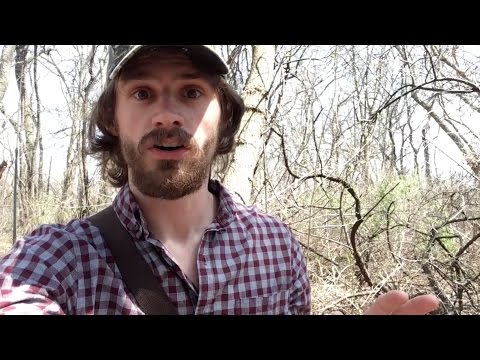 My french sucks, but I am fearless (Subtitles in English)