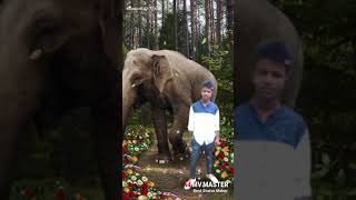 Download lagu Ashik mp3