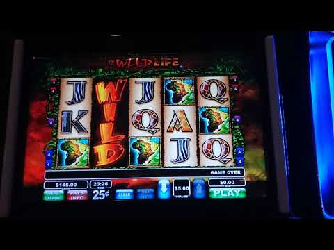 Wild Life BONUS!   15 Spins plus drunk gawkers!!