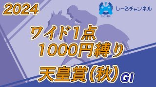 【2024年天皇賞(秋)】2強は崩れないだろう【しーらch】