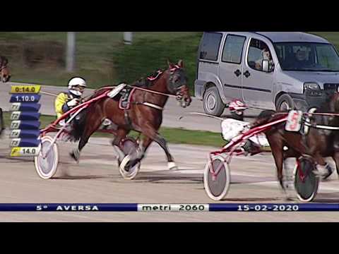 Aversa trotto 15 Febbraio 2020 - 5° Corsa