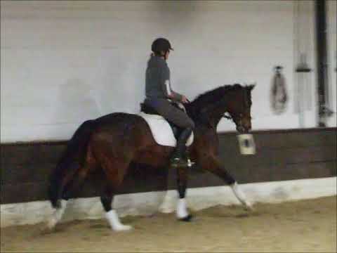 BELA 5j. Hann. v. Belconi - Rotspon VB 12.000,- Euro