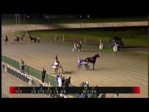 2012 Productendraverij D - Dacey Boko (Frank Crebas) + post-race ceremony