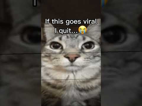 If this goes viral i will delete my channel