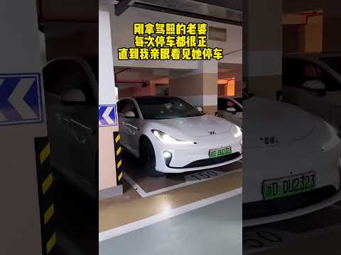 老婆每次停车都很正，直到我亲眼看到！ #智己LS8 #智己LS8NEO #智己LS8纯电#智己L6