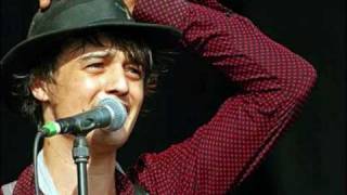 The Whole World Is Our Playground - Pete Doherty