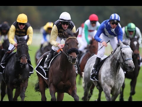 Hannover: Großer Preis der Besitzervereinigung für Vollblutzucht und Rennen (L)