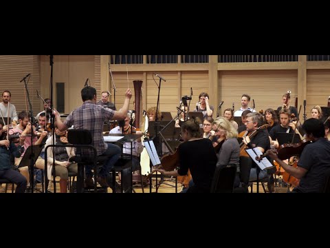 Dan Brown's Wild Symphony: "Happy Hippos"