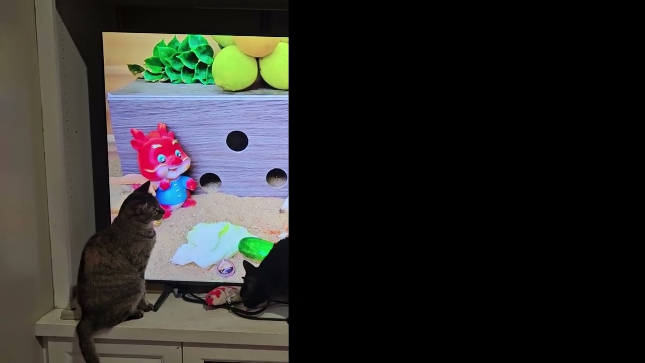 Enlarge Bonnie, a Adoptable mixed breed in Greensboro, NC video 6/6