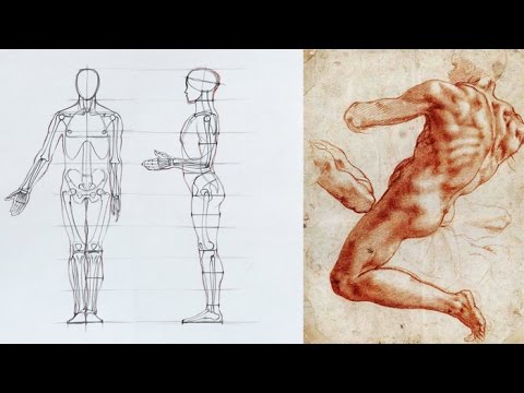 Human Figure Proportions