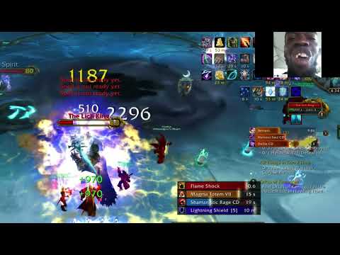 Very cool moment between two Enhancement Shamans ruined by a Paladin