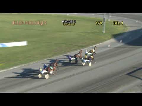 CDP 2019 August 31 R1