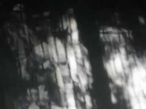 Too Poor to Drink - Adam Foster and the Phantoms [OFFICIAL MUSIC VIDEO] *captions