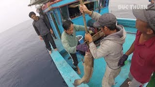 DUC THUAN 🐟 CÂU DÒ CÁ MÚ CHUỐI - Ra Khơi BÁM BIỂN Tập 10 (Fishing Grouper) DUC THUAN 🐟 CÂU DÒ CÁ MÚ CHUỐI - Ra Khơi BÁM BIỂN Tập 10 (Fishing Grouper)