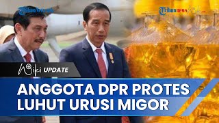 Politisi PDIP Protes seusai Jokowi Tunjuk Luhut untuk Urusi Minyak Goreng: Jadi Sasaran Rumor Lagi