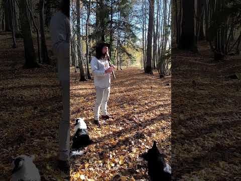 G 432hz walnut flute sound sample #flute #432hz #native #zuni