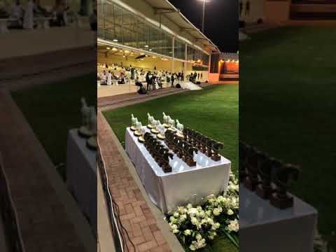 Ajman Arabian Horse show 2019