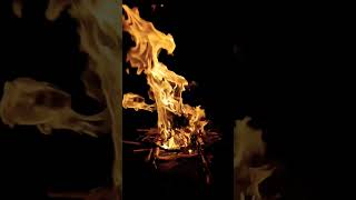 Desire is a bonfire that burns with greater fury, asking for more fuel 🔥. #bonfire🔥