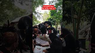 Download lagu Astaghfirullah Wa Atubu Ilaih 3x #syeikhalijaber #amalan #dzikir #istighfar #astaghfirullah mp3 Download lagu Astaghfirullah Wa Atubu Ilaih 3x #syeikhalijaber #amalan #dzikir #istighfar #astaghfirullah mp3