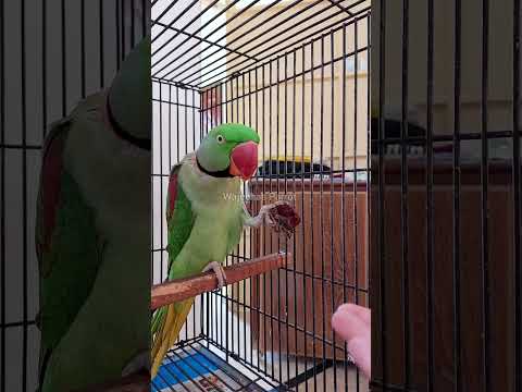 Shonay asks so many questions 🙄