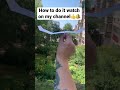 Paper Airplane Fly Like Eagle Shorts