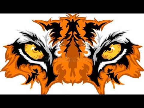 ROMANO RAP TIGERS (BRZINA5)