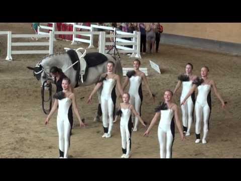 Bayerische Meisterschaften 2013   Gut Waffenschmiede I