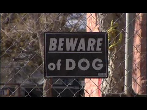 Rez Dogs - FULL DOCUMENTARY - NATIVE AMERICAN FILM