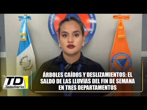 Árboles caídos y deslizamientos: el saldo de las lluvias del fin de semana en tres departamentos