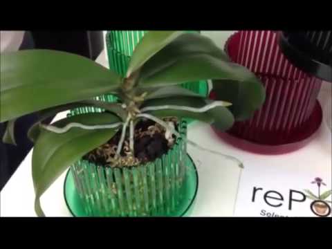 Orchitop Carousel Orchid Pots from rePotme.com Orchid Supplies