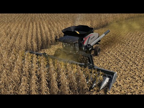 Farmersburg Ep#47 | Harvest | FS19 Timelapse | Farming Simulator 19 Timelapse