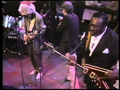 Stevie Ray Vaughan, B B King, Albert King, Paul Butterfield - The Sky Is Crying