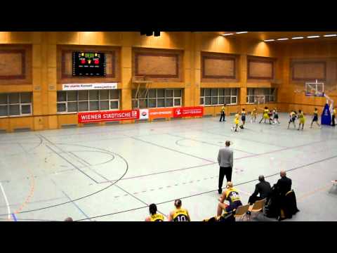 Flying Foxes Post Wien-Baschet ICIM Arad