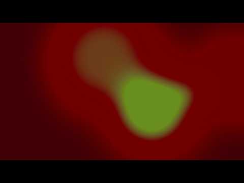 Brandon D'Agrosa - ("Planitarium") Intermission