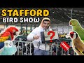 Stafford Spring Bird Show Experience MARCH 2023 | Lucas Ferraz #staffordbirdshow