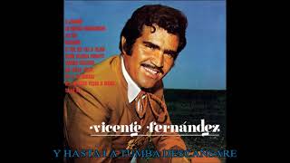 COMO PALOMA ERRANTE - VICENTE FERNANDEZ (CON LETRA)