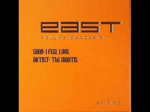 The Mantis - I feel Love (Extended)